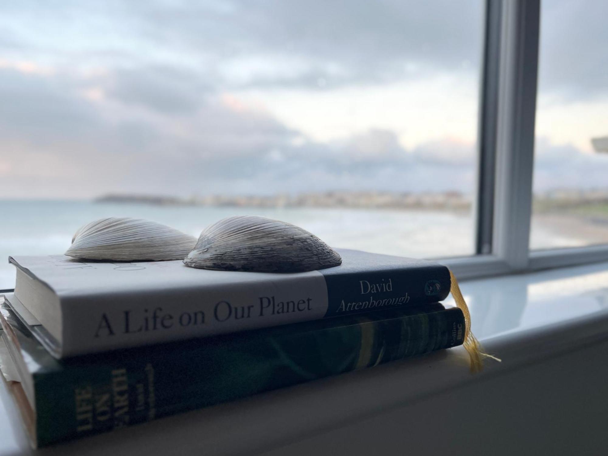 Sound Of The Sea - Penthouse In Portrush Apartment Bagian luar foto